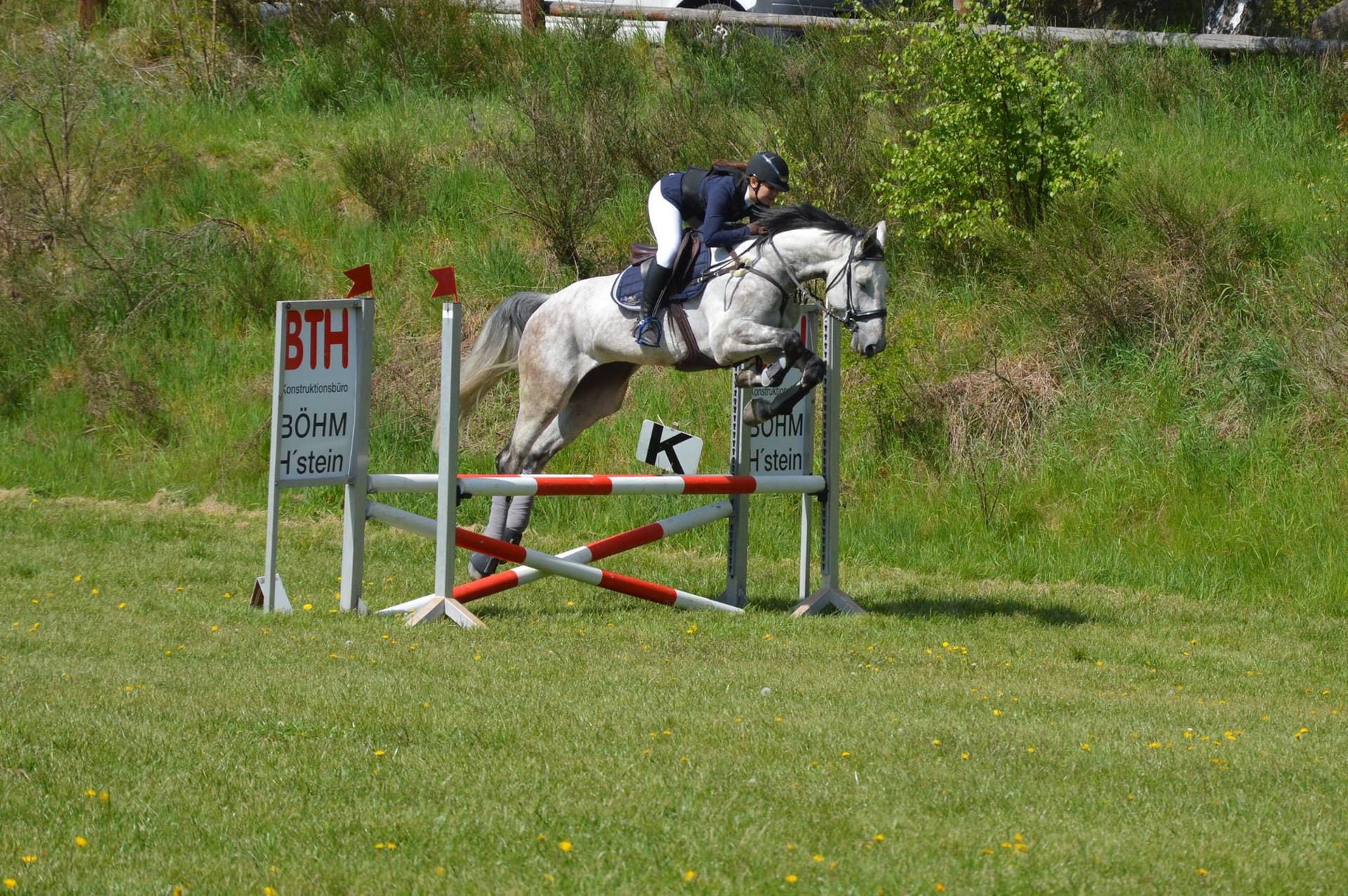 Springreiterin mit Schimmel beim Turnier am Reitstall Inghofer